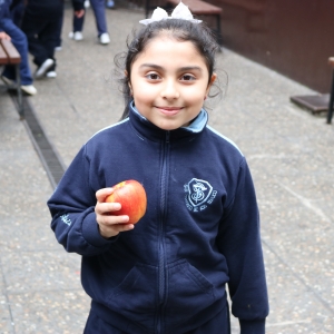 Día de la Actividad Física
